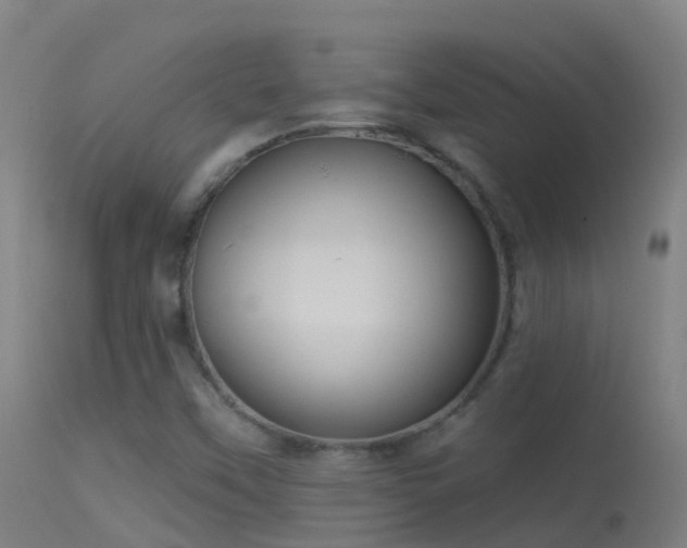 X0000114181451200910151649