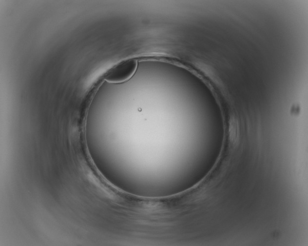 X0000114181452200910151649