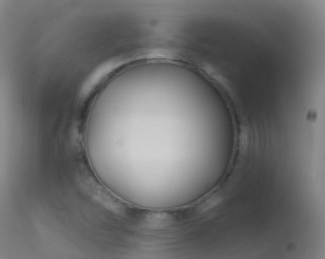 X0000114181454200910151649