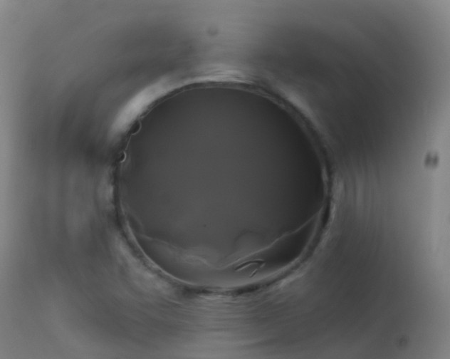 X0000114181455200910151649
