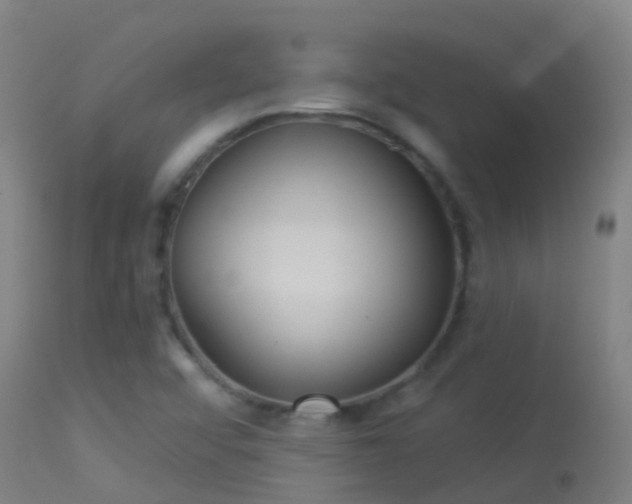 X0000114181456200910151649