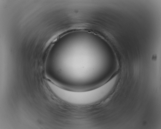 X0000114181457200910151649