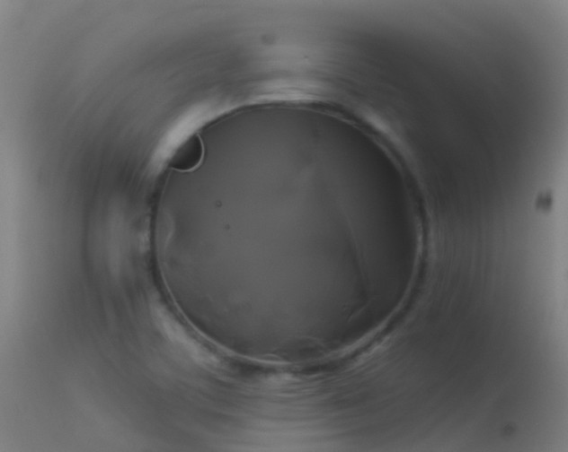X0000114181459200910151649