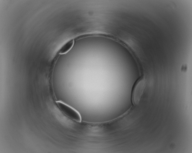 X0000114181460200910151649