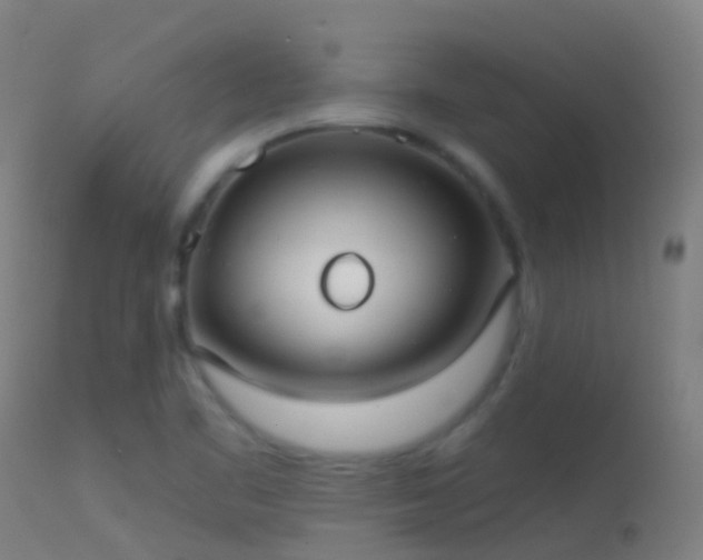 X0000114181461200910151649