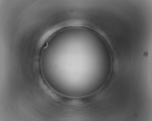 X0000114181464200910151649
