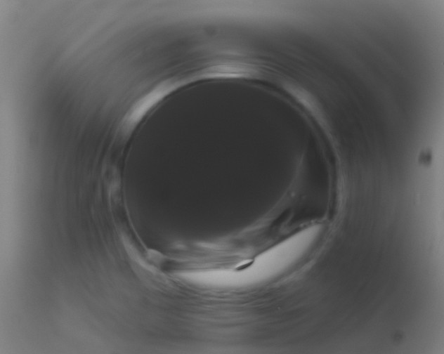 X0000114181465200910151649