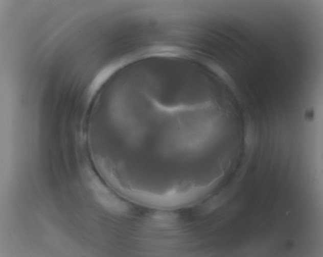 X0000114181466200910151649