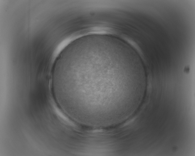 X0000114181467200910151649