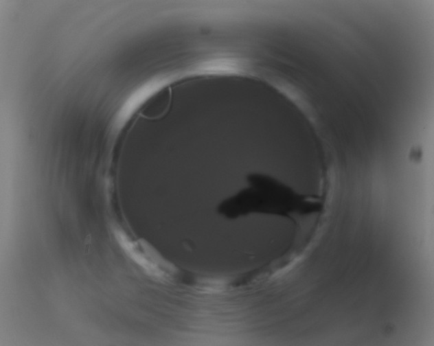 X0000114181469200910151649