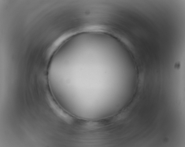 X0000114181470200910151649