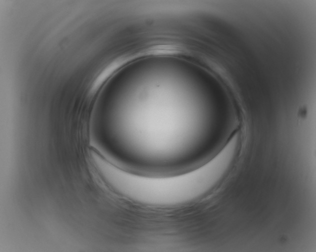 X0000114181473200910151649