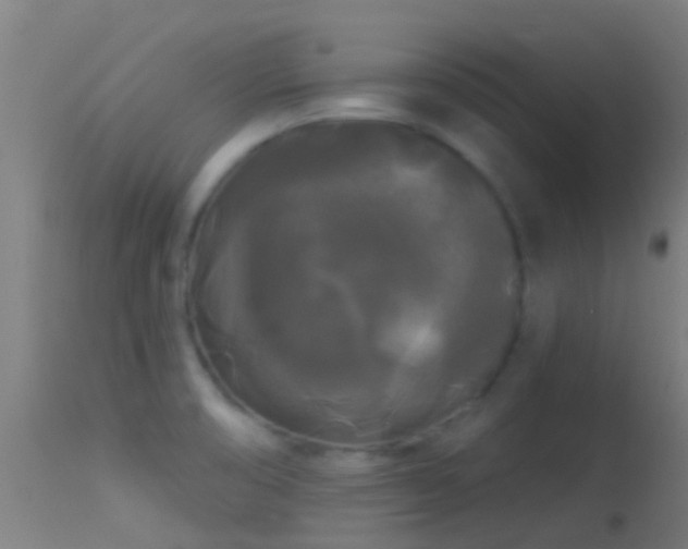 X0000114181474200910151649