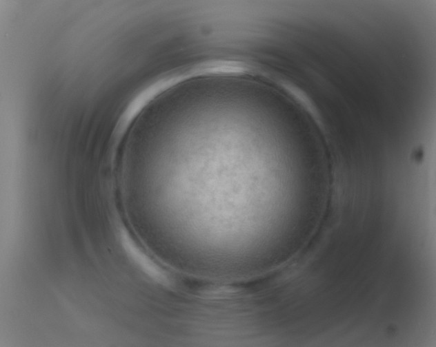 X0000114181475200910151649
