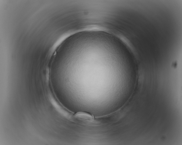 X0000114181476200910151649