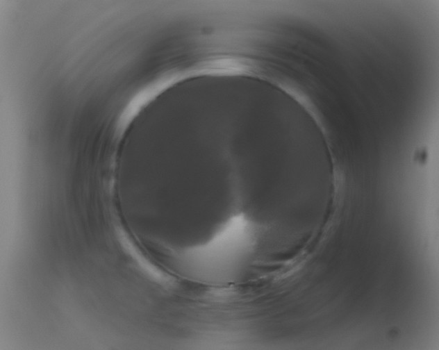 X0000114181477200910151649