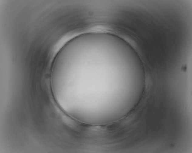 X0000114181478200910151649