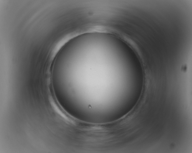 X0000114181479200910151649