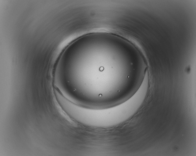 X0000114181480200910151649