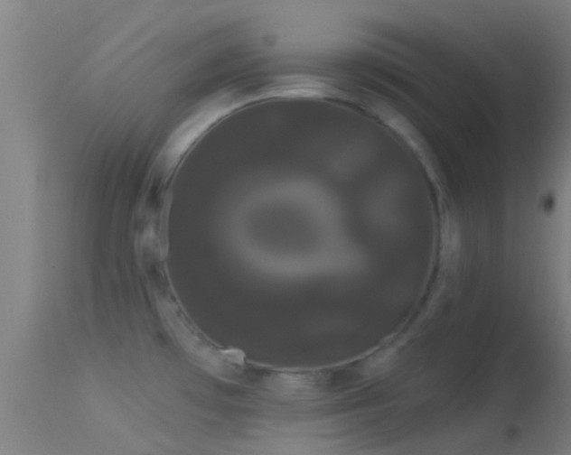 X0000114181481200910151649