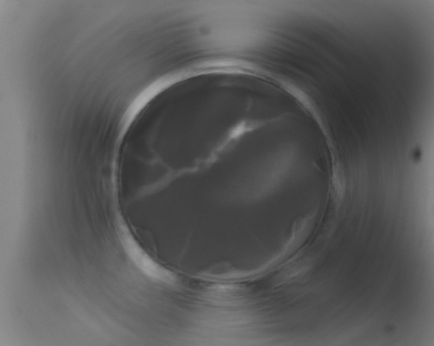 X0000114181482200910151649