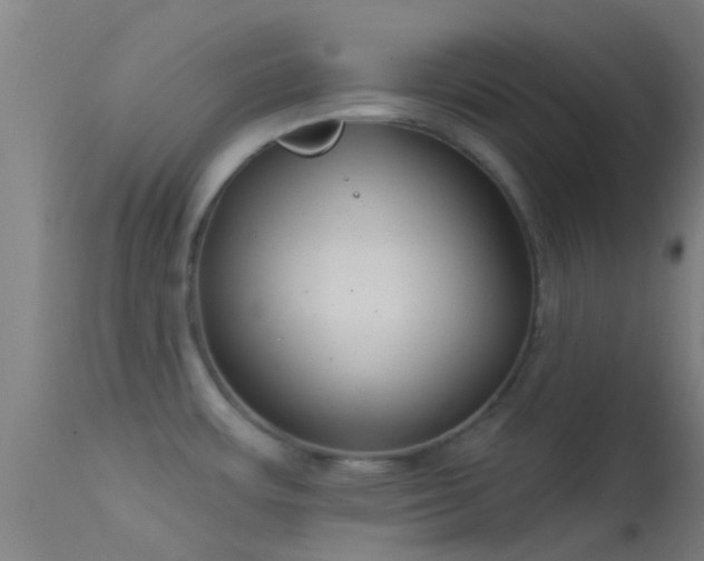 X0000114181483200910151649
