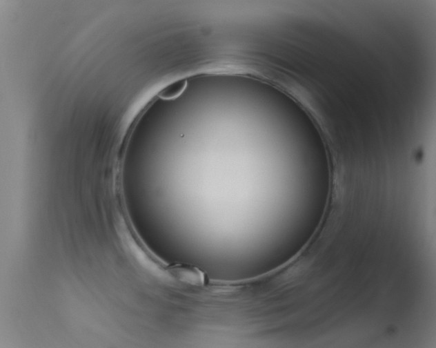 X0000114181484200910151649