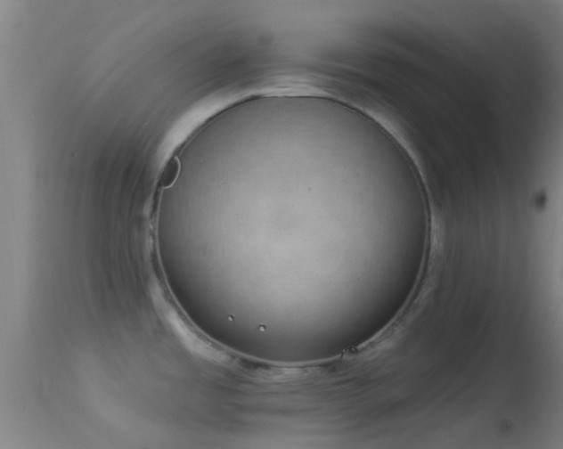 X0000114181485200910151649