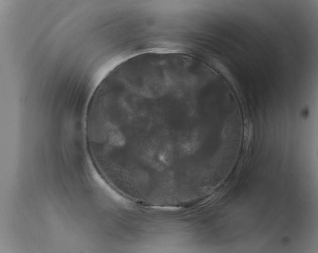 X0000114181487200910151649