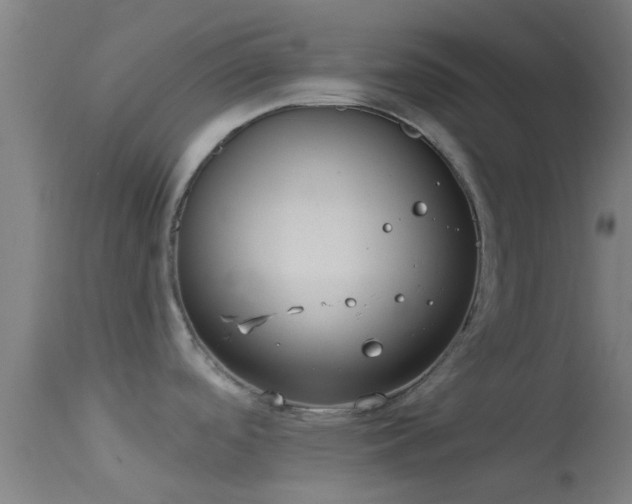 X0000114181488200910151649