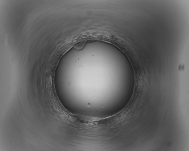 X0000114181489200910151648