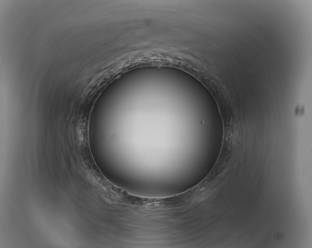 X0000114181490200910151648