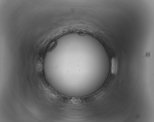 X0000114181491200910151648