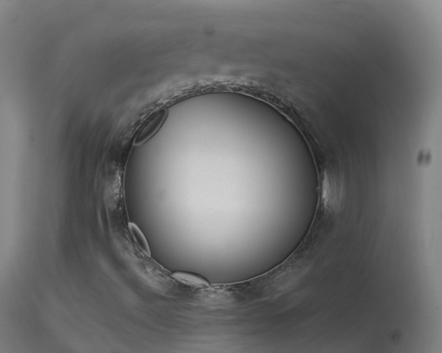 X0000114181492200910151648