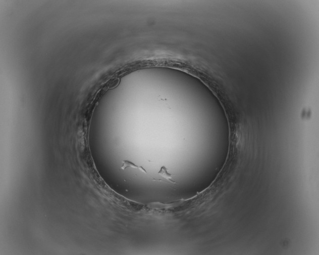 X0000114181493200910151648