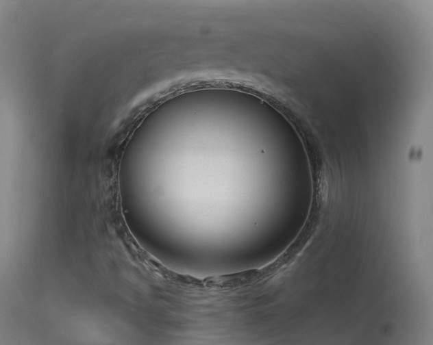 X0000114181494200910151648