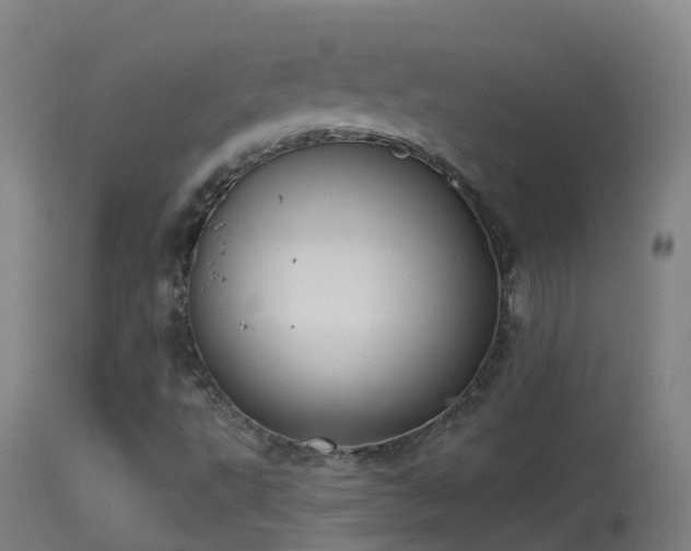 X0000114181495200910151648