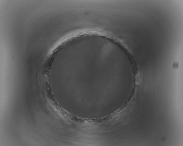 X0000114181496200910151648