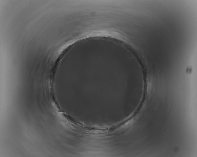 X0000114181497200910151648