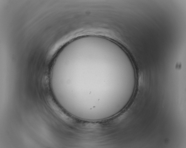 X0000114181498200910151648