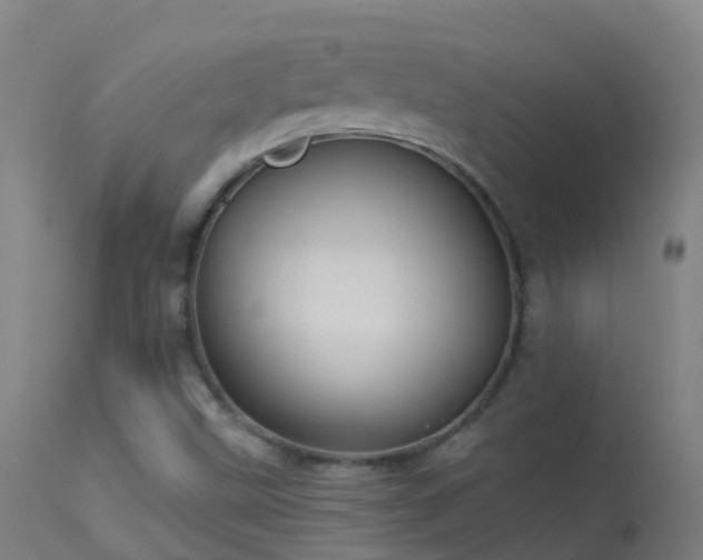 X0000114181499200910151648