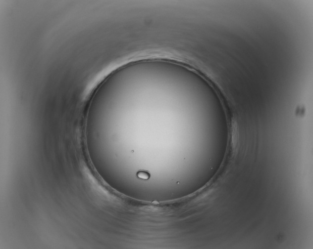 X0000114181500200910151648