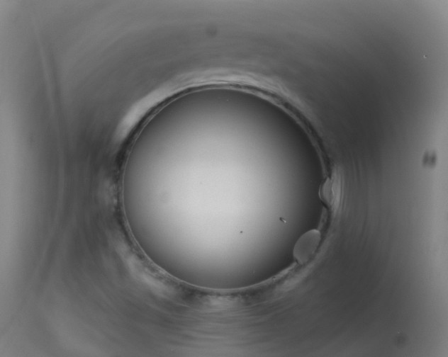 X0000114181501200910151648