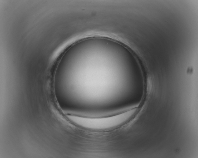 X0000114181502200910151648