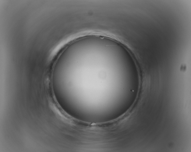 X0000114181503200910151648
