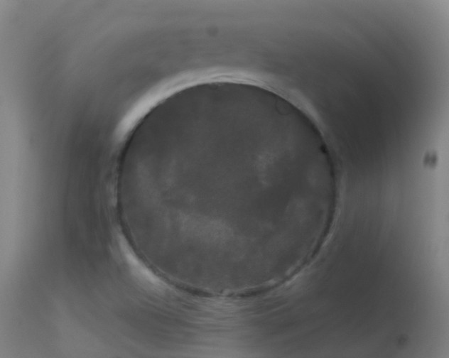 X0000114181504200910151648