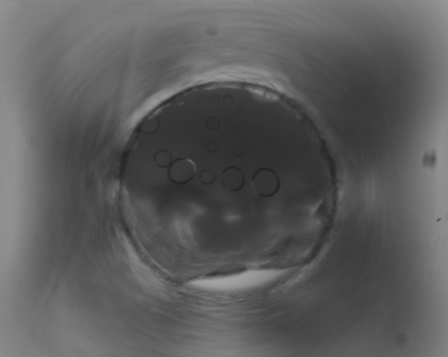 X0000114181505200910151648