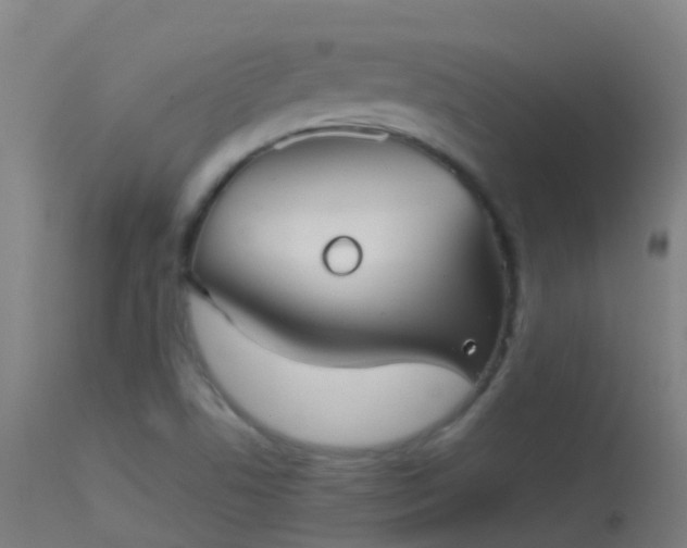 X0000114181506200910151648