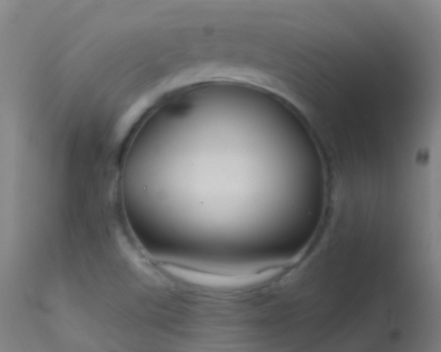 X0000114181507200910151648