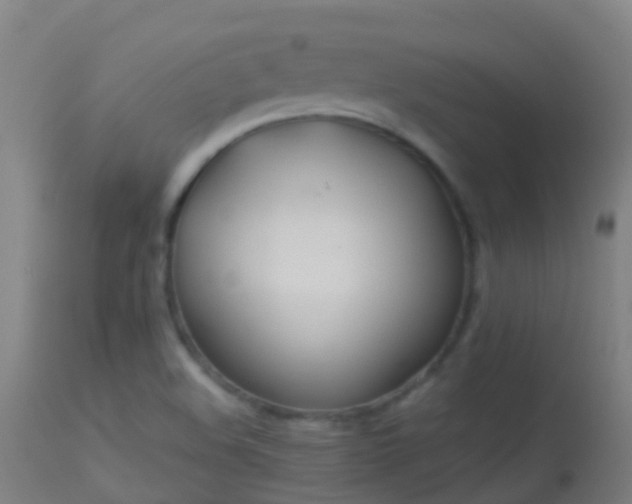 X0000114181508200910151648